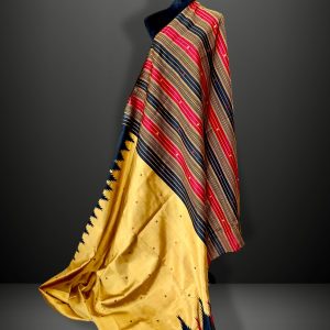 double Pallu berhumpuri silk saree Odisha handloom yellow black red handweaved ethnic wear